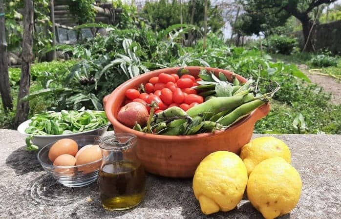 Il No Diet Day e la Dieta Mediterranea: mangiare bene è innanzitutto salute. 